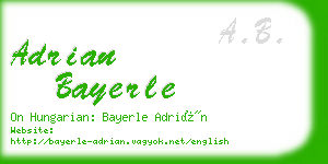 adrian bayerle business card